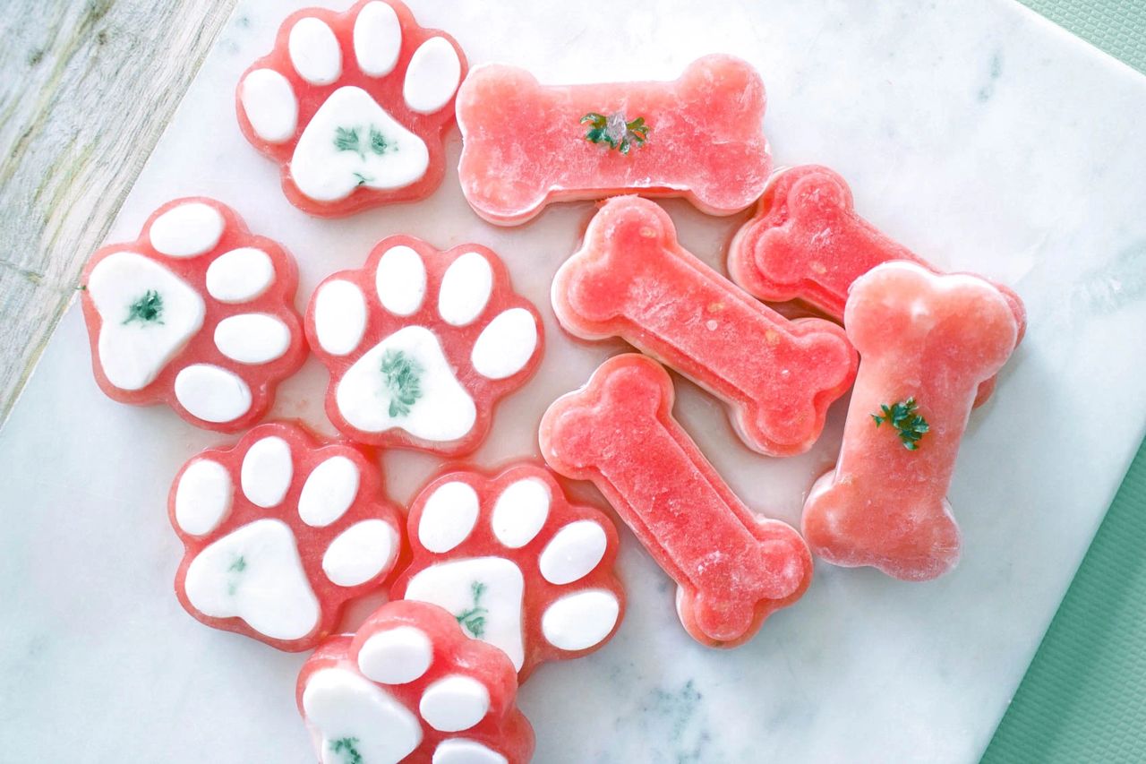Cold dog treats for summer top